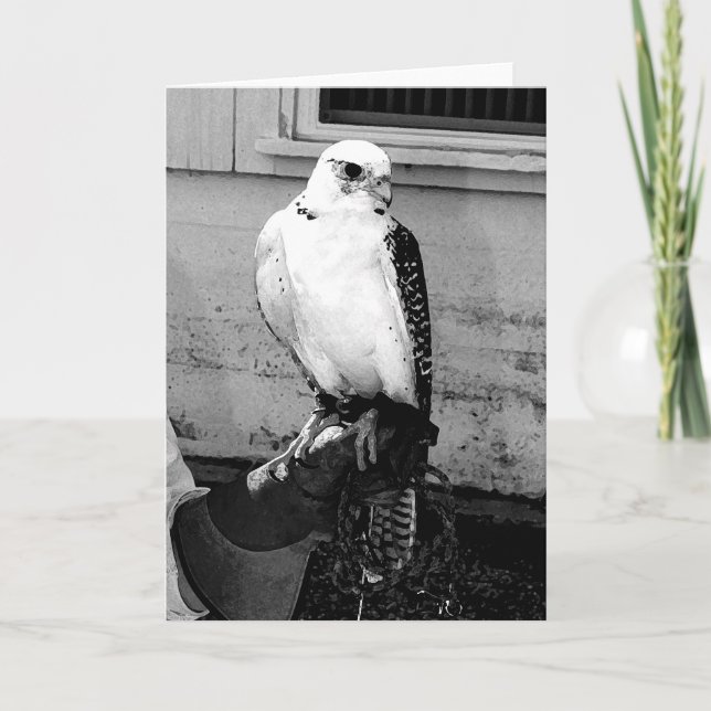 Gyrfalcon ruht auf dem Handler's gauntlet notecard Karte (Vorderseite)