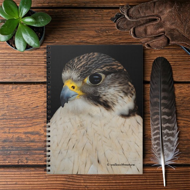 Gyrfalcon Saker Hybrid Falcon Notizblock (Gyrfalcon Saker Falcon Hybrid Journal Cover Photo)