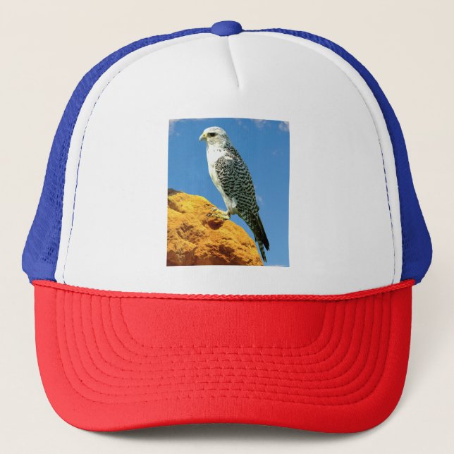 Gyrfalcon steht auf einem Felsen Truckerkappe (Vorderseite)