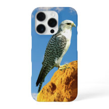 Gyrfalcon steht auf einem Rocktelefon