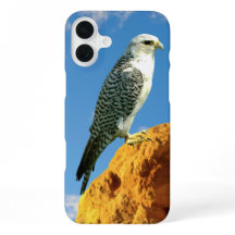 Gyrfalcon steht auf einem Rocktelefon