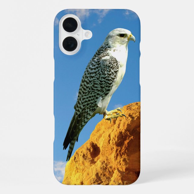 Gyrfalcon steht auf einem Rocktelefon iPhone Hülle (Rückseite)