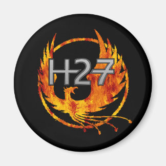 H27 Magnet