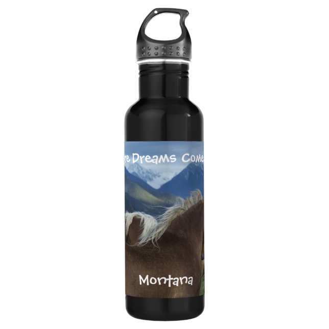 H2o Flasche - Montana Trinkflasche (Vorderseite)