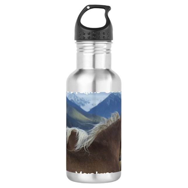 H2o Flasche - Montana Trinkflasche (Vorderseite)