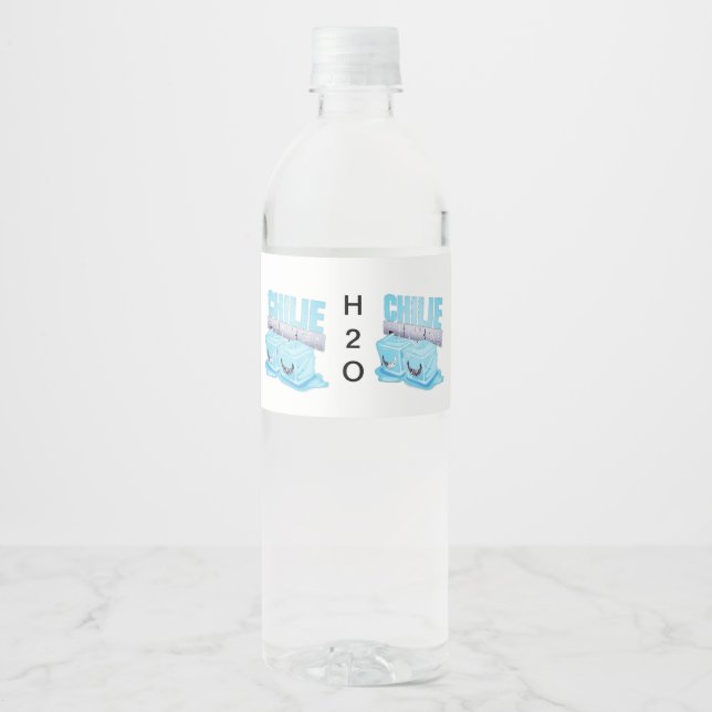 H2O WASSERFLASCHENETIKETT (Vorderseite)