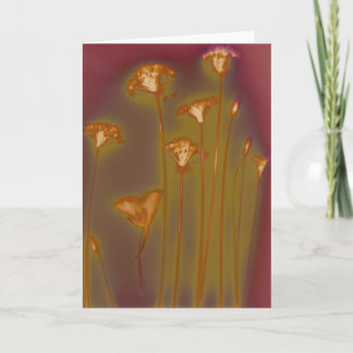 H.A.S. Kunstgrußkarte, Bild Loughdetail Karte