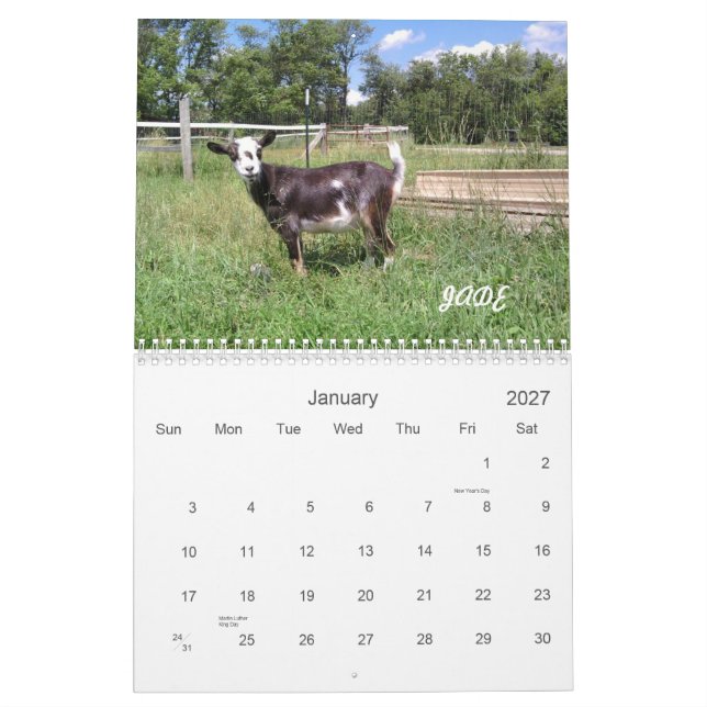 H.H. Kalender der Garten-Ziegen-2010 (Jan 2027)