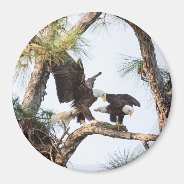 H & M Magnet (Vorne)