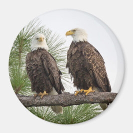 H&O Circle Magnet (verschiedene Größen verfügbar)