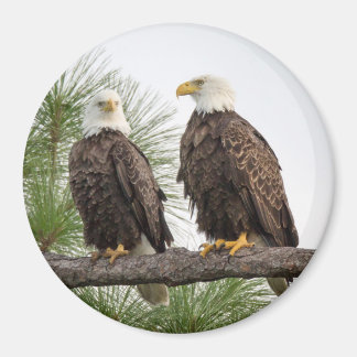 H&O Circle Magnet (verschiedene Größen verfügbar)