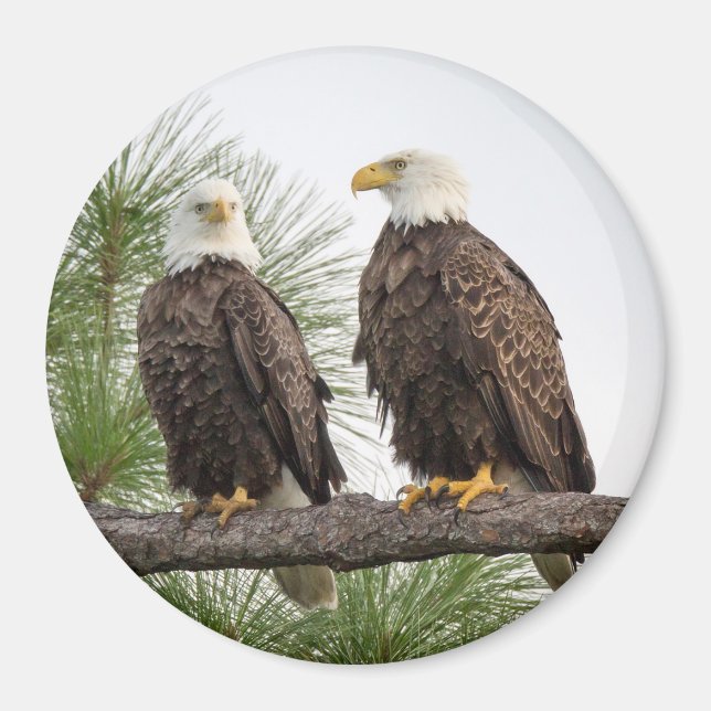 H&O Circle Magnet (verschiedene Größen verfügbar) (Vorne)