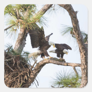 H- u. m-Aufkleber Quadratischer Aufkleber