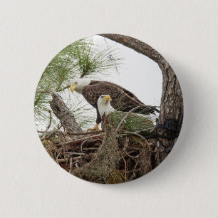 H- u. m-Knopf Button