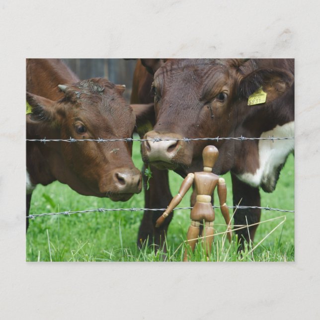 Hä? Postkarte (Vorderseite)