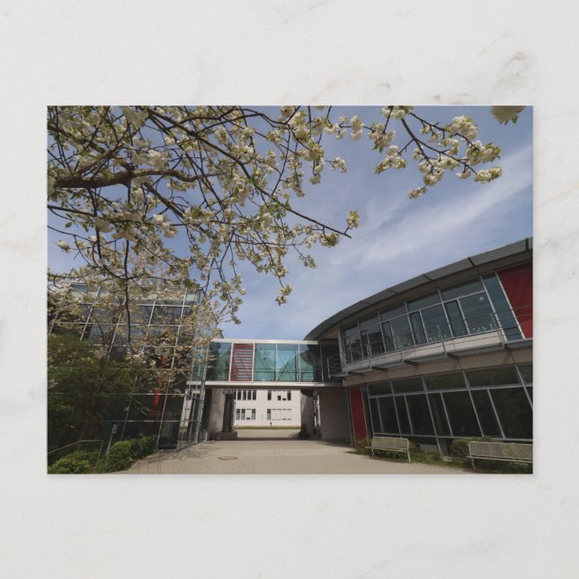 HAAGER REALSCHULE ÜBERGANG ZUM NEUBAU POSTKARTE (Vorderseite)