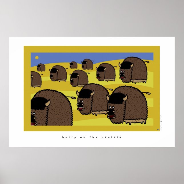 Haare auf der Prärie Poster (Vorne)
