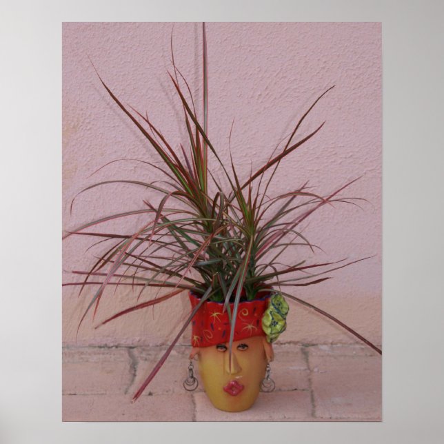 Haare, langes schönes Haar! Poster (Vorne)