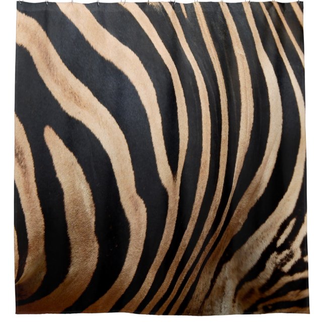 Haarhaut aus Zebraskin, Tier, Hintergrund, schwarz Duschvorhang (Vorderseite)