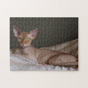 Haarlose Sphinx-Katze Puzzle