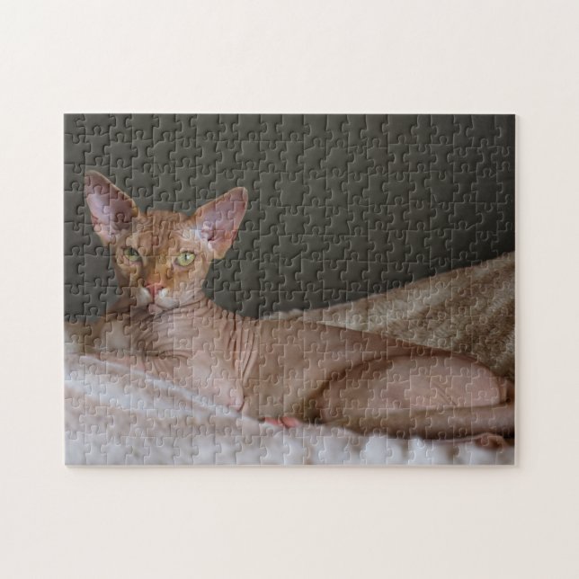 Haarlose Sphinx-Katze Puzzle (Horizontal)