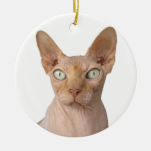 Haarlose Sphynx-Katze Keramik Ornament