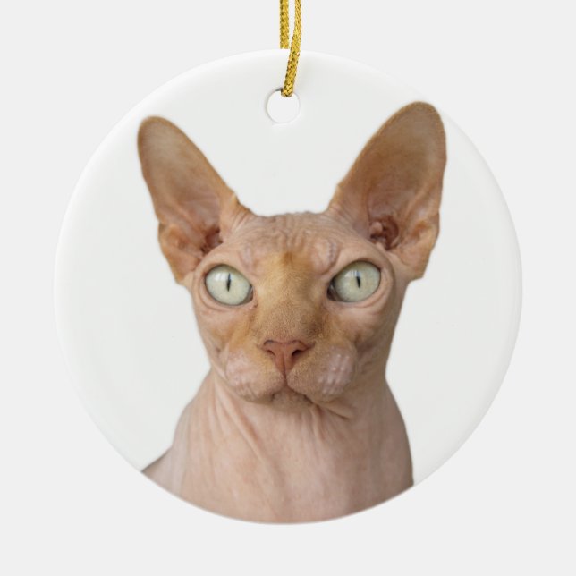 Haarlose Sphynx-Katze Keramik Ornament (Vorne)