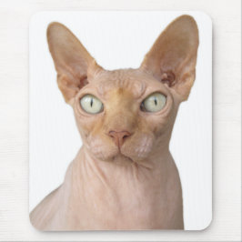 Haarlose Sphynx-Katze Mousepad