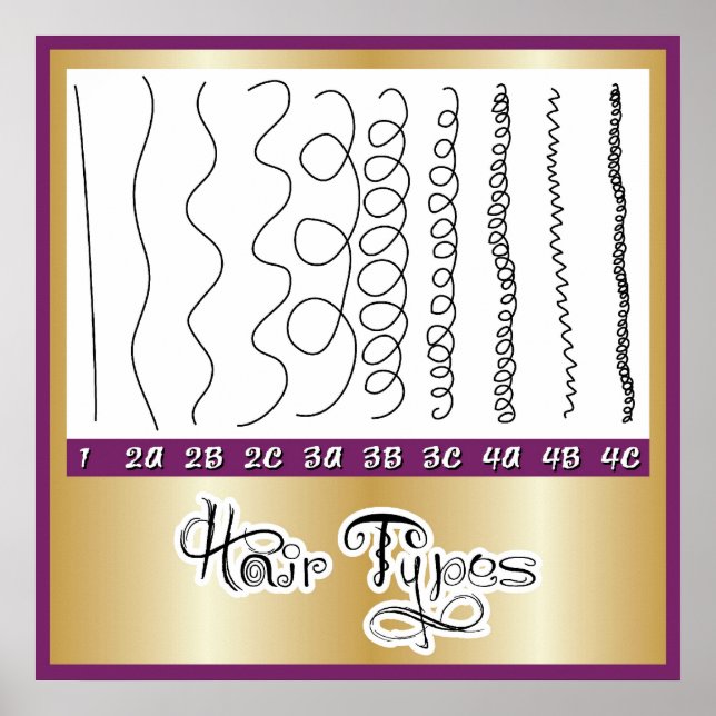 Haartypen1 Poster (Vorne)