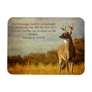 Habakkuk 3:18 Inspirational Magnet