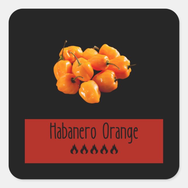 Habanero Orange Quadratischer Aufkleber (Vorderseite)