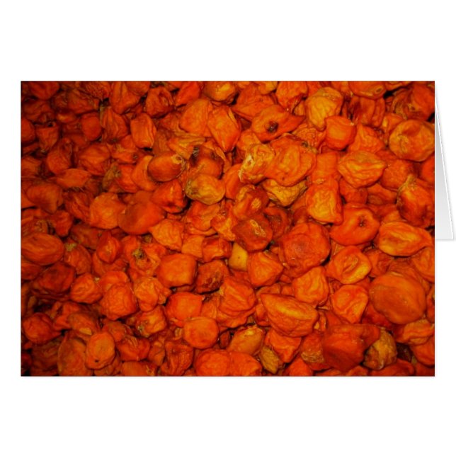 Habaneros, Habaneros und mehr Habaneros (Vorderseite (Horizontal))