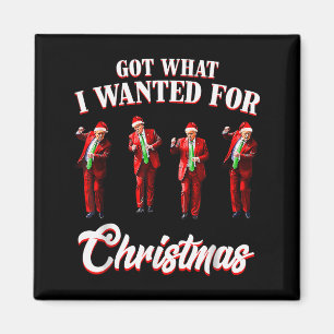 Habe das bekommen, was ich zu Weihnachten wollte,  Magnet