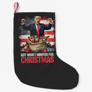 Habe das bekommen, was ich zu Weihnachten wollte T Kleiner Weihnachtsstrumpf