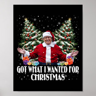 Habe das bekommen, was ich zu Weihnachten wollte T Poster