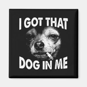 Habe diesen Hund in lustigen Chihuahua-Liebhaber-M Magnet