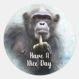 Habe einen schönen Tag Funny Chimpanze Middle Fing Runder Aufkleber