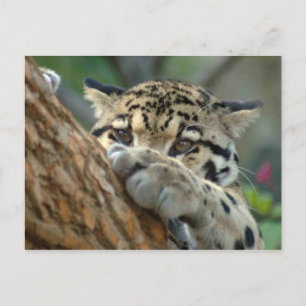 Habe ich es bekommen? postkarte