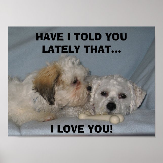 HABE ICH IHNEN GESAGT, DASS.. Ich LIEBE ... Poster (Vorne)