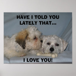 HABE ICH SAGTE IHNEN KÜRZLICH DEM… I LIEBE… POSTER