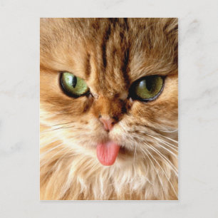 Habe mich mit einem Löffel gefangen Postkarte