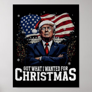 Habe, was ich zu Weihnachten wollte Trump 2024 Tee Poster