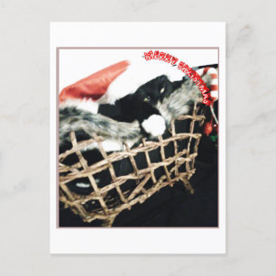 Haben schwarzen-Grinch Weihnachten Postkarte