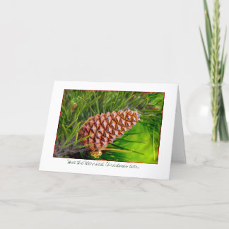 Haben Sie die schönsten Weihnachten aller Zeiten