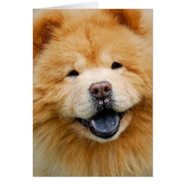 Haben Sie ein glückliches (Vorne)