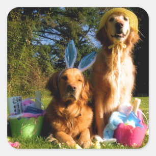 Haben Sie ein goldenes Ostern Quadratischer Aufkleber