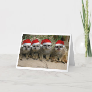 Haben Sie ein Meerkat Weihnachten! Feiertagskarte