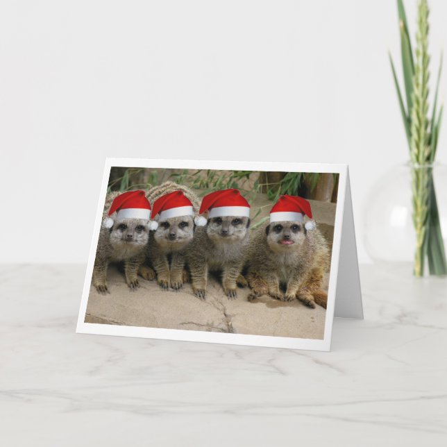 Haben Sie ein Meerkat Weihnachten! Feiertagskarte (Vorderseite)