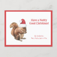 Haben Sie ein NUTTY Gutes Weihnachtshörnchen