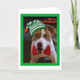 Haben Sie ein Pitbull-Weihnachten Feiertagskarte
